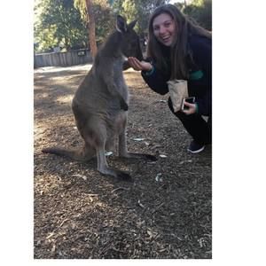 Meet your Posher, Amelia